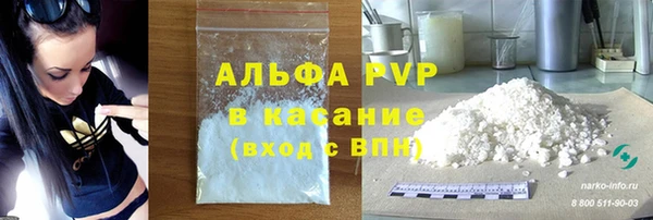 СК Алзамай