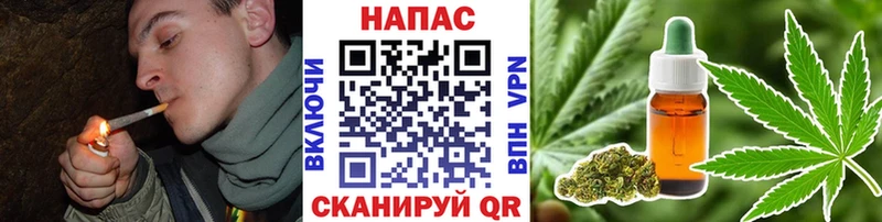 Канабис сатива  как найти   Асино 